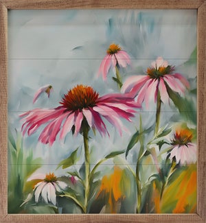 Coneflowers